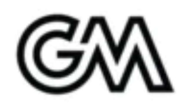 GOLDEN MOUNTAIN(PTY)LTD